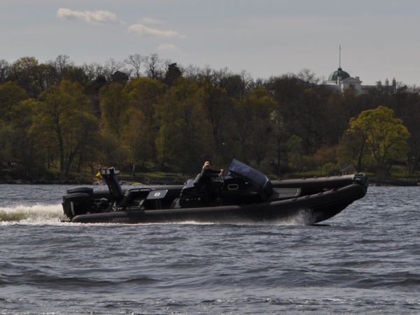 BRIG Eagle 10